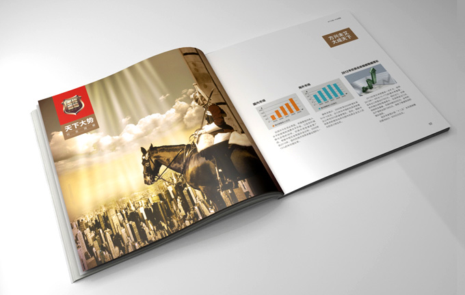 炊具行業(yè)企業(yè)畫(huà)冊(cè)設(shè)計(jì)/愛(ài)菲爾